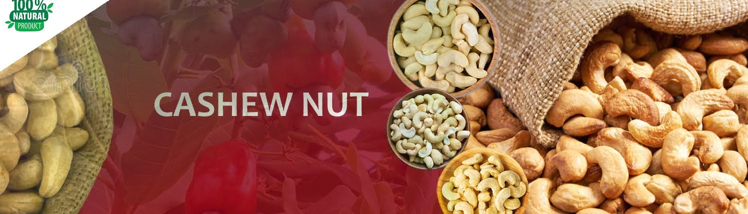 cashew-nut_large cashew-nut